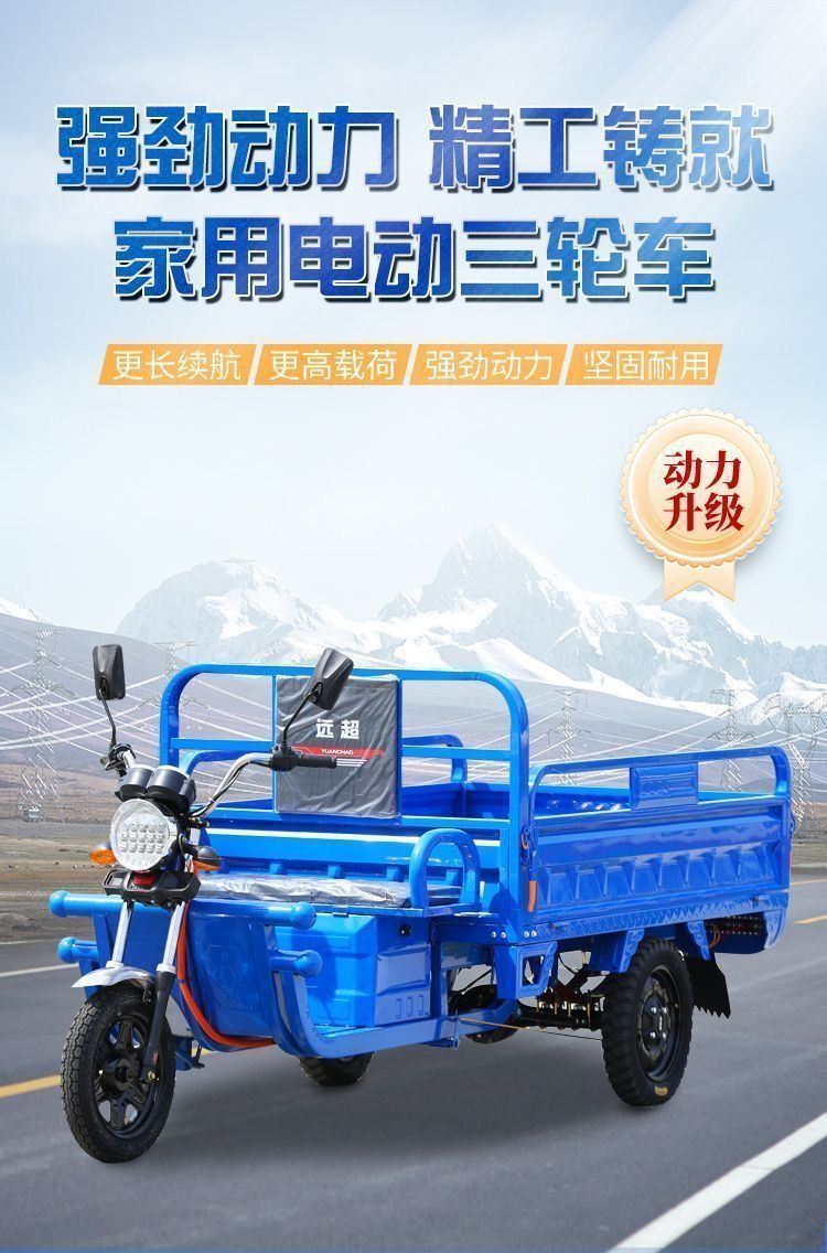 Electric Tricycle for Cargo, Delivery, Farm Use, Adult