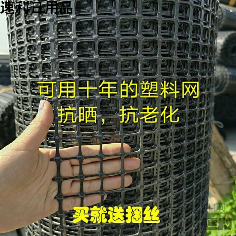 土工格栅塑料网养殖鸡鸭围栏网加厚漏粪网玉米网果园圈地防护网