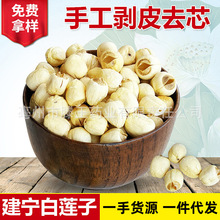 当年产新鲜食用白莲子 建宁去芯白莲子 磨皮湘莲白莲子红莲子500g