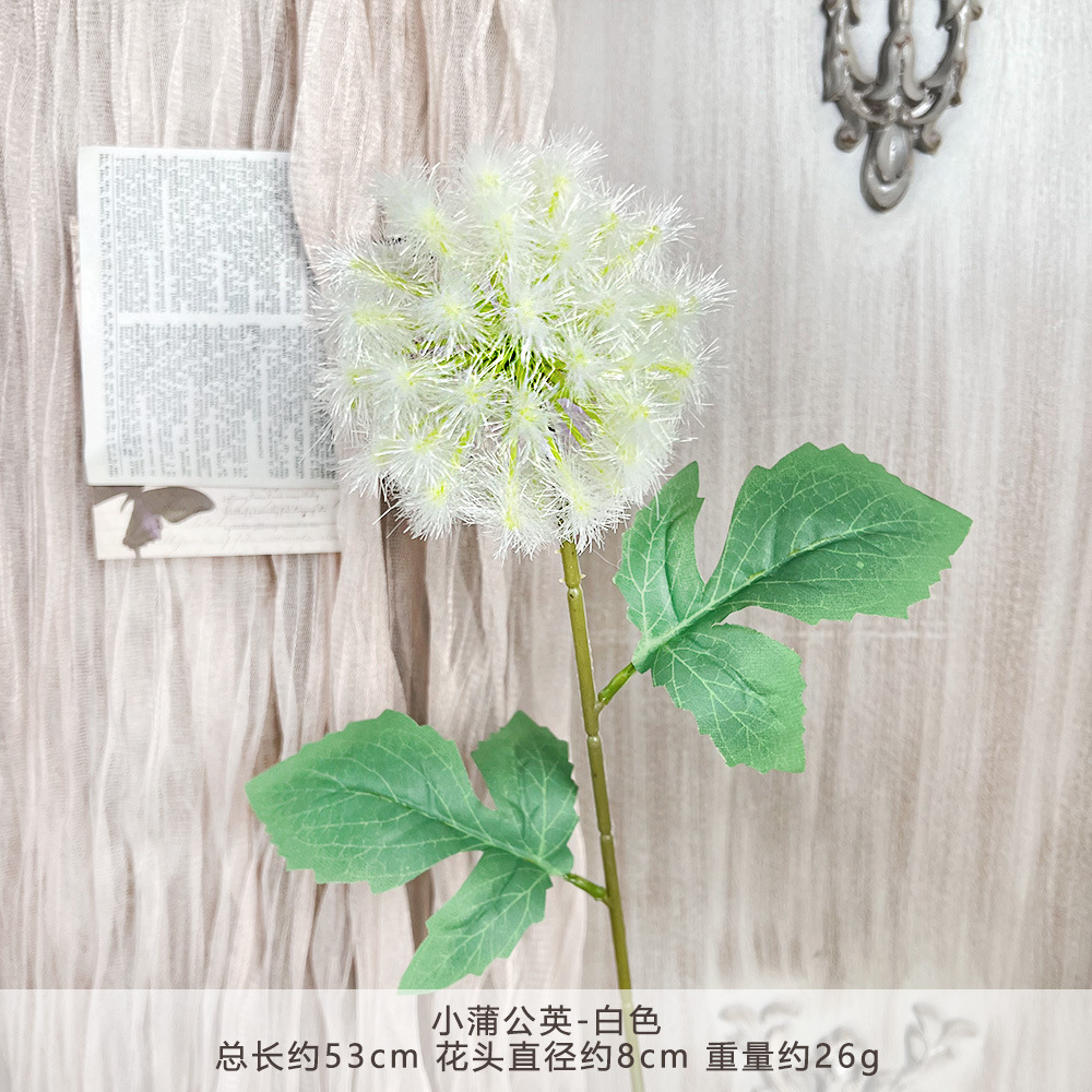 HZY - ดอกแดนดิไลอันเล็ก - สีขาว