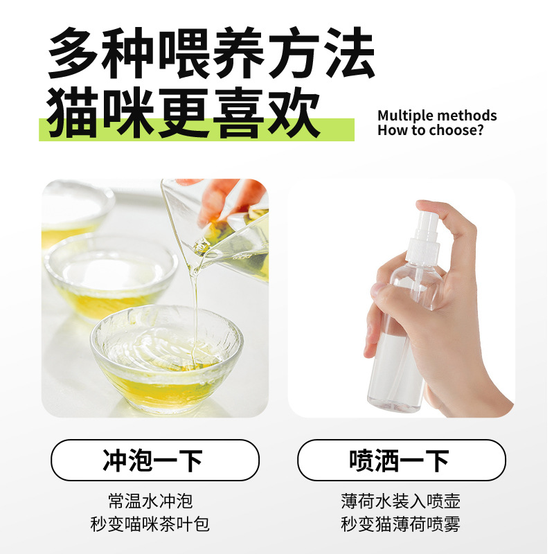 Hoja de polvo de menta gatera Aperitivos para gatos Galletas para gatos embotelladas Bolas desplumadas comestibles Limpiar la boca Cachornia para gatos