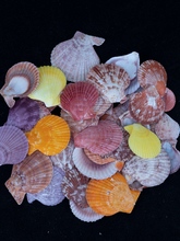 ��Ȼ���ݲ�ɫؐ��ѩؐ�ۼt��ؐ��ɫؐ���[���ֹ��L⏒���������