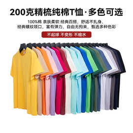 纯棉T恤短袖200克男士短袖纯色体恤潮牌印字logo跨境批发男装现货