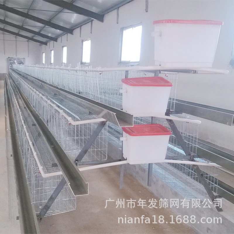广州厂家现货出口非坦桑尼亚可养128只蛋鸡笼四层四门阶梯式笼具