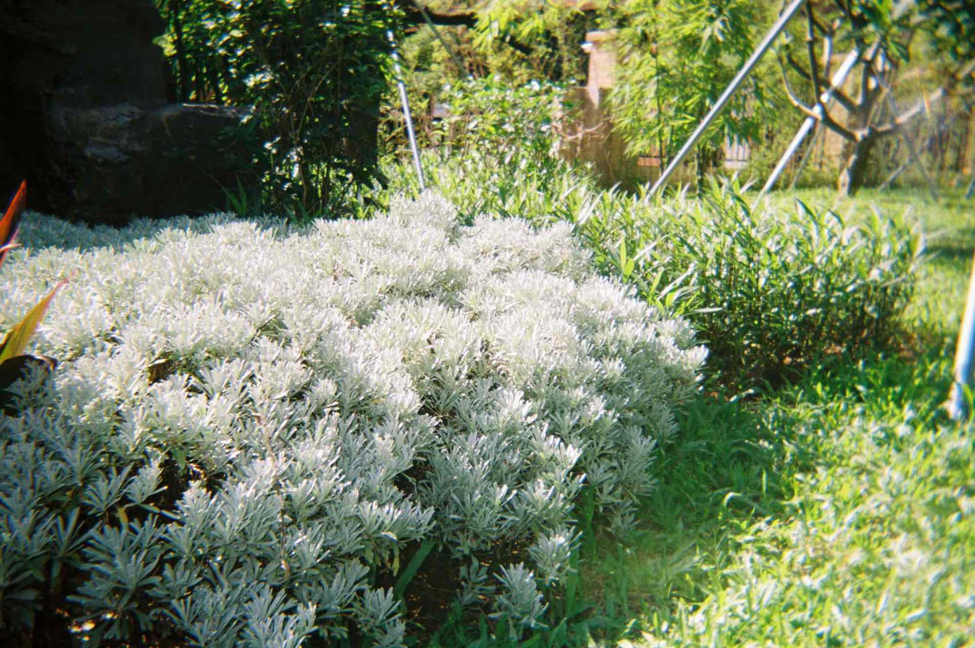 044269C1-A940-4D49-8FB5-41A30C