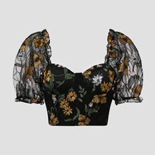 W羳Ըж̿̽WTinsL¶Ěſ11038