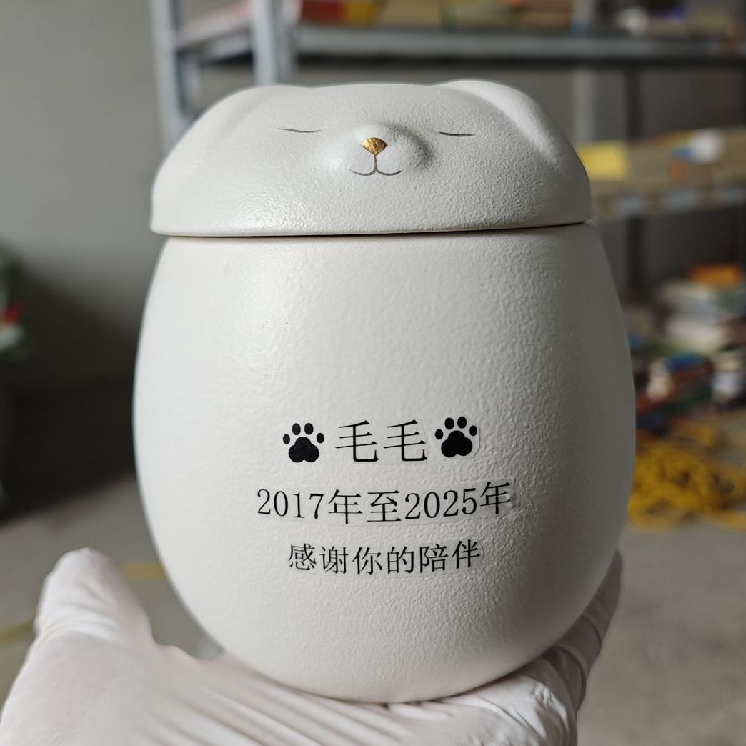 개/인쇄-대형 + 6inch 사진 무료