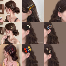 ins�L��l��߅�A���l�ﶬ�l�A�W�tͬ���nϵ�����l���ɐۄ����AŮ