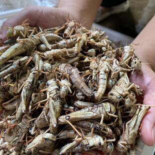 ���r�ك�Λ�ƻ��x�����ʳ�ñ������Ѽ�ĸ���ȥ����خa���]����