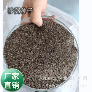 ���l  Ұ��ɳ��N�� ɳĮ�؎�ֲ�� ɳ���� ���ݷN�ӷ�ɳ����