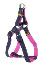 싱글 가슴 뒤 핑크