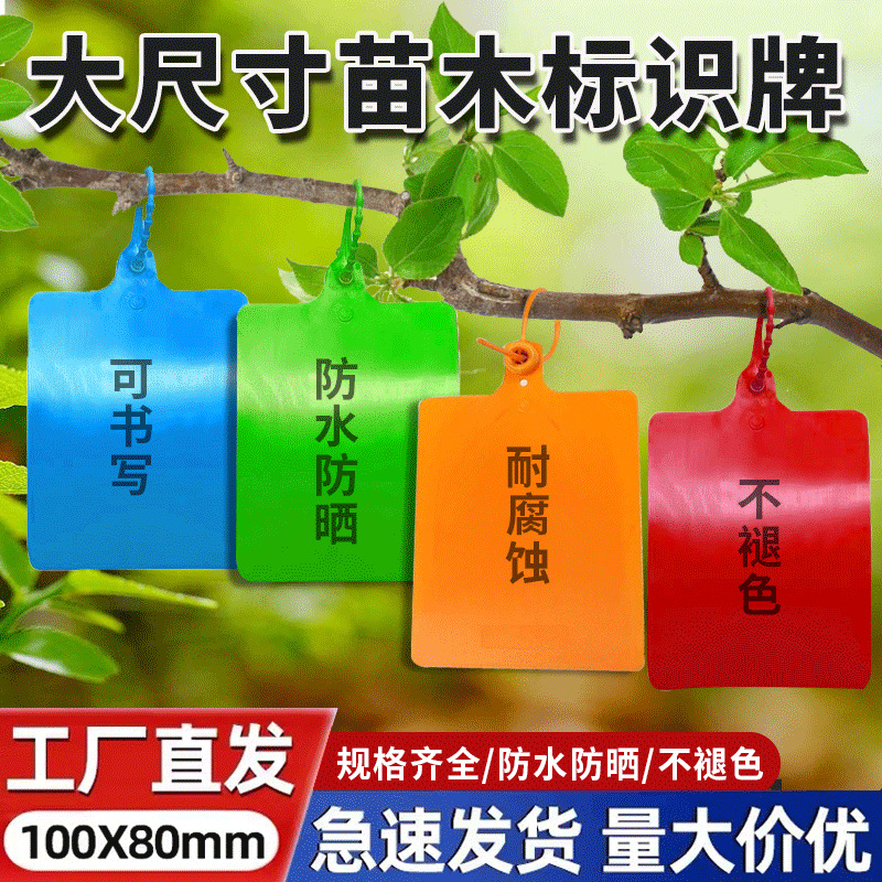 加大物流吊牌挂签韵达百世中通快运防水式单头标签果树标签挂牌