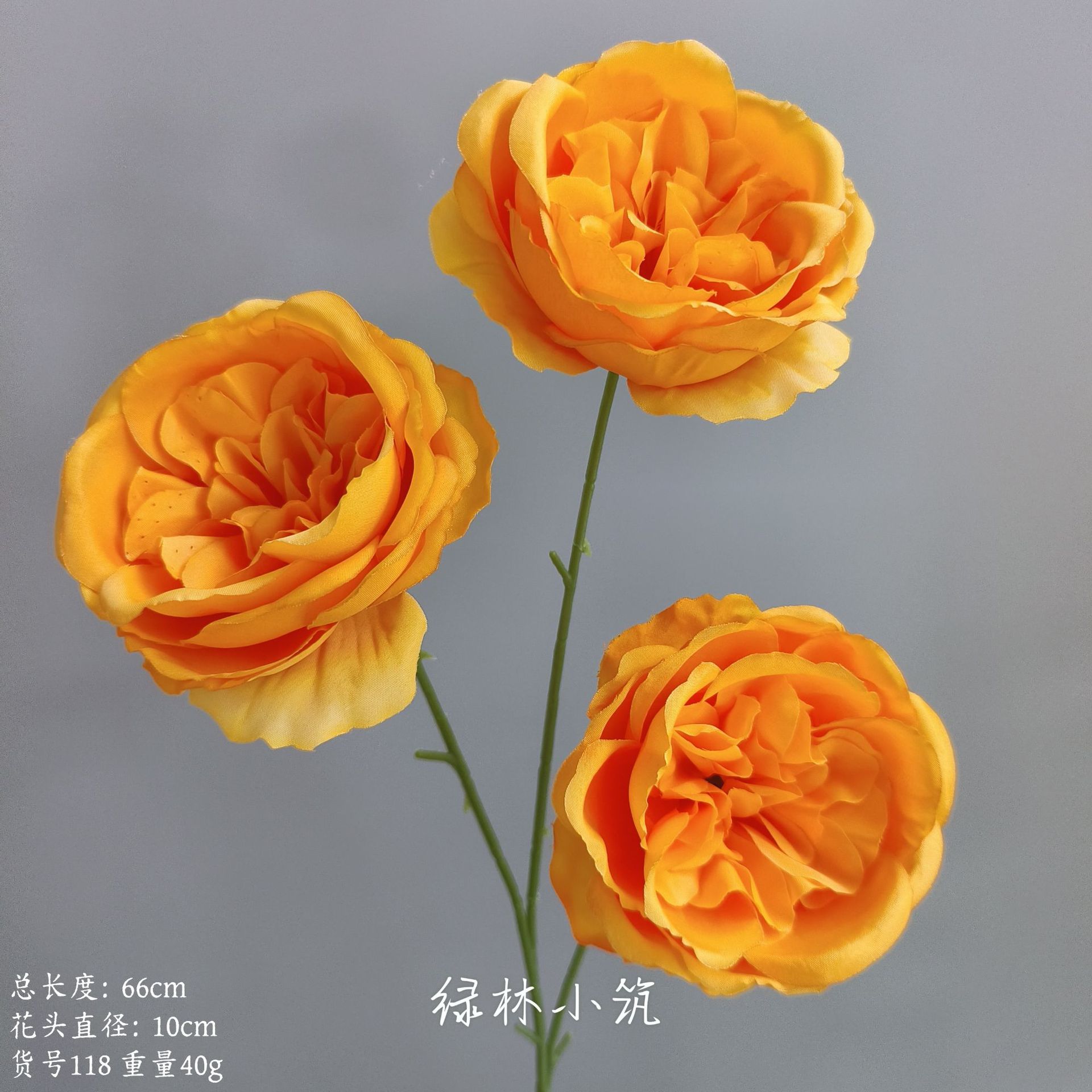 품목 번호 118-3 헤드 오스틴