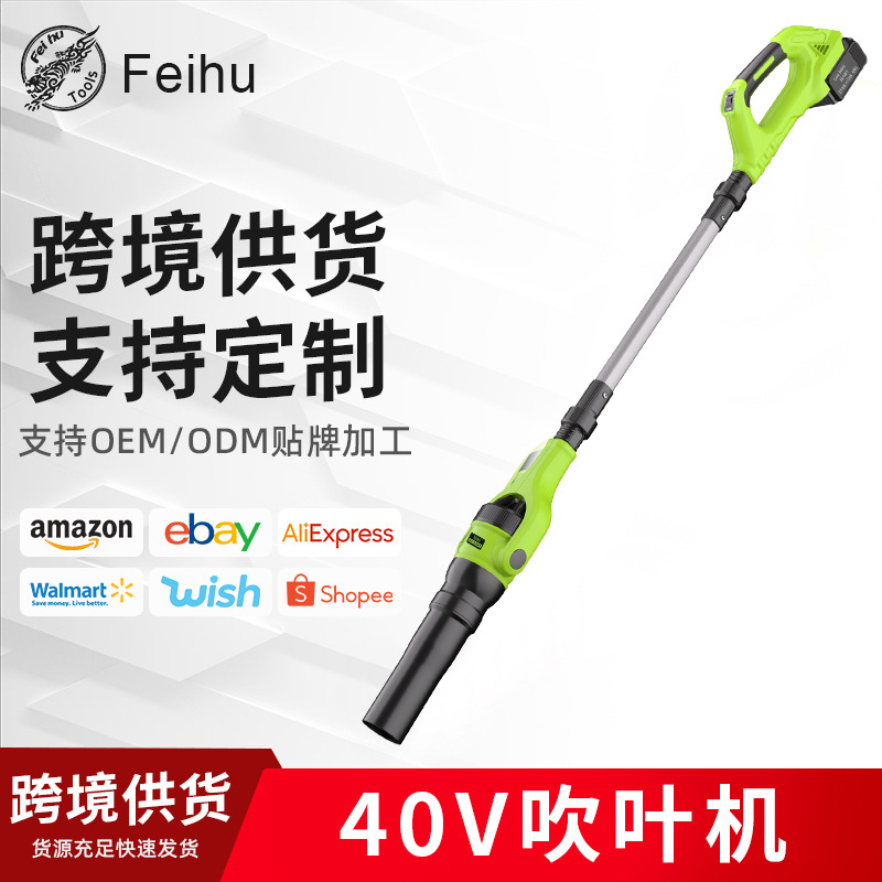 Feihu Cross-Border New 40V Lithium Battery Household High-Power Handheld Blower Snow Blowing Dust Removal Electric Hair Dryer