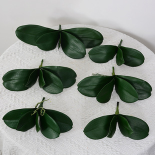 Big small accessories, 3 pieces, 4 pieces, 5 pieces, orchid