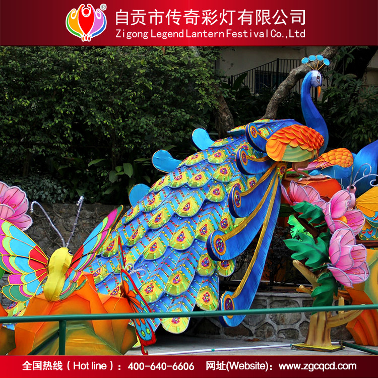 孔雀3.jpg