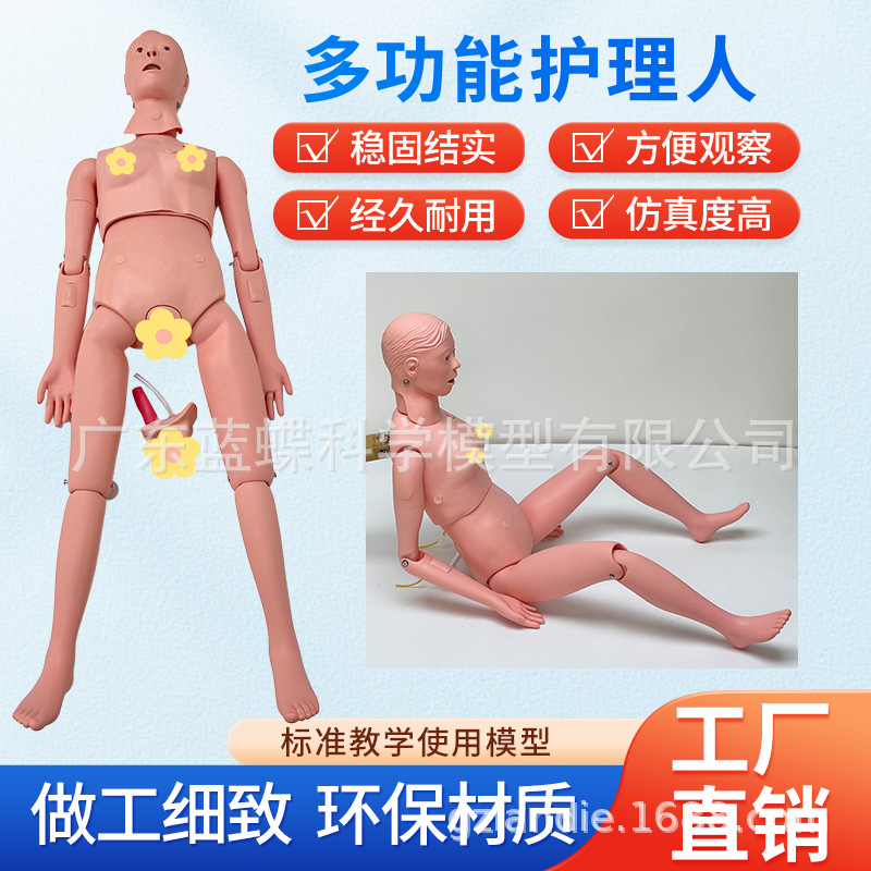 Ů�Ի�����ģ�� �������������ϻ�����ѵ ��ɩ����ʦ�̾߻���ģ��