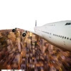 DHLExpres �lÓ�ȼ��ĵ����ӿ��fС���p�� ؛�\���U