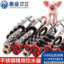 不锈钢猪嘴铜帽4分水嘴乳头式防喷溅滚压珠养猪场猪咀专用饮水器