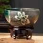 家用新款植物水培花盆