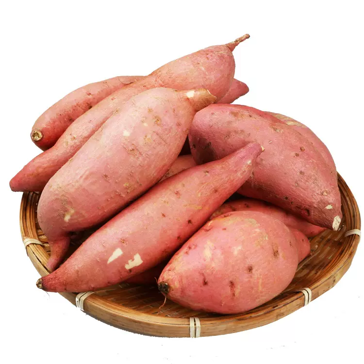 板栗红薯新鲜沙地蜜薯自种现挖红皮黄心红薯一件代发