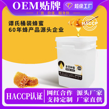 谭氏鸭脚木蜂蜜原料桶装百花蜜野生椴树蜜多花种天然农家自产蜂蜜
