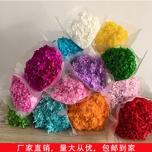 Immortal Hydrangea Anna Hydrangea Bleaching Hydrangea Immortal Single Hydrangea Bulk Hydrangea Dried Flower Factory Sale