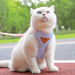 Cat Leash Anti-Escape Outdoor Walking Cat Leash British Short Vest-Style Cat Chain Small Kitten Leash I-Shaped
