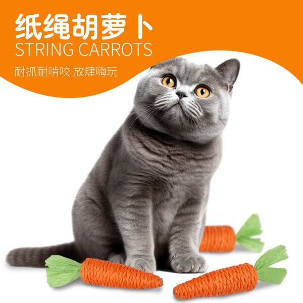 carrot toy