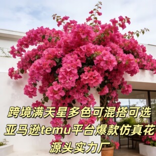 �b���������÷֦�ٗl��c�҃ȿ͏d����b��{�ܵ��ҾӼٻ�