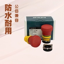 RAFI_PMڼͣo_P̖1.30.243.501/0300