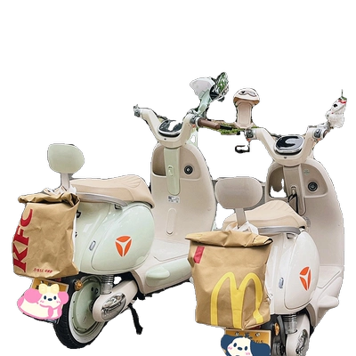 Electric car tail box | Bike Hanging Bag Lucifer