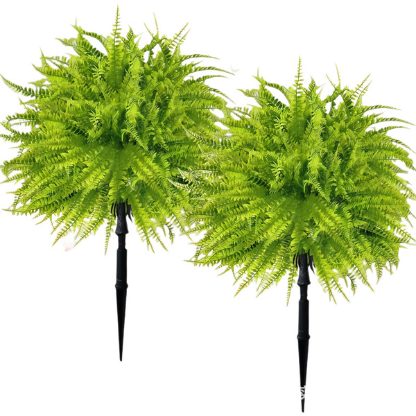 Green plant fern ground planting Boston fern realistic