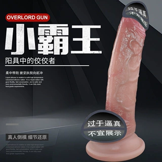小霸王假阳具炮机女性自慰器1-1倒模情趣玩具一手成年人用品货源