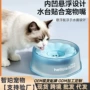 悬浮1200ml宠物狗狗水碗