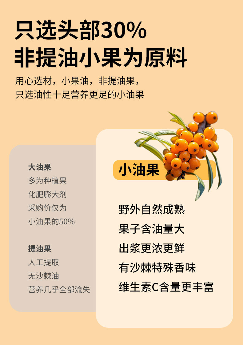 Wild Sea Buckthorn Juice Puree Bulk 200kg Drum Wholesale Inner Mongolia Small Fruit specifications