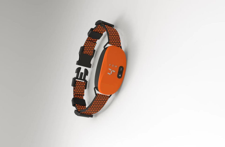 QQ图片20220915161029