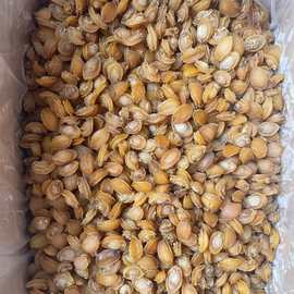 批发120头鲍鱼干货北部湾淡晒鲍鱼干北海鲍鱼干500G干货散装大号