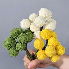 ��������S����Gֲ�nʽ�ҾӘӰ��g�Ƶ��c�OӋ�廨�ٻ������֦