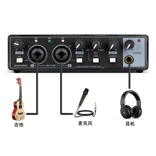 GAX-MD22 cross-border e-commerce professional recording microphone sound card band dubbing live broadcast equipment dedicated sound card