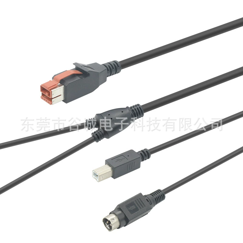 24V Powered USB male to one to two USB BM+3PIN Power Din data cable