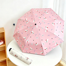 �ɐ۝M��С�������Ӵ��pȫ�ں��z�����W��Ů�����p���ۯB��