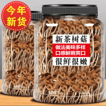 不开伞茶树菇农家特产干货新鲜甄选煲汤鲜美香菇蘑菇珍品食用品质