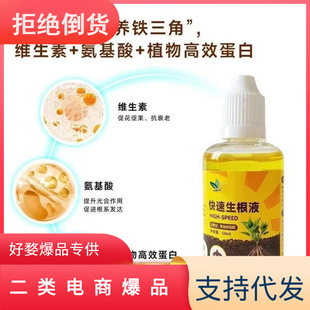 Dropper plant rapid rooting solution strong fleshy tree flower rooting strong seedling transfer cutting rooting water nutrient solution
