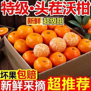 2026�°l�V���ָ����rˮ��3��5��9���b�̳������ ����ӏS��ֱ�N