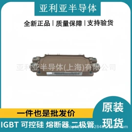 IGBT模块;集成电路;普通晶闸管