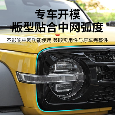 of Tank 300 integrated front: Automobile anti-insect net