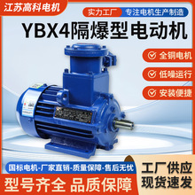 YBX4立式防爆电机bt4国标纯铜芯隔爆型F级异步电动机三相380v