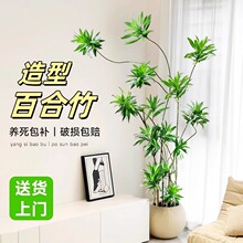 ͰٺԿ͏d;Gֲk҃ļBʽֲ滨