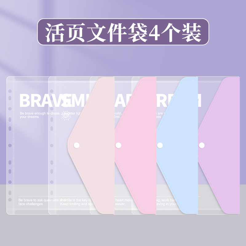 루스리프 문서 가방 4팩